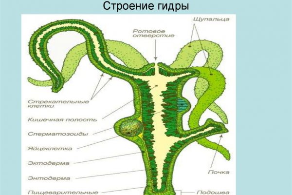 Мега сайт даркнет маркет