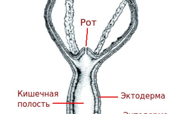 BlackSprut ссылка мечтаево