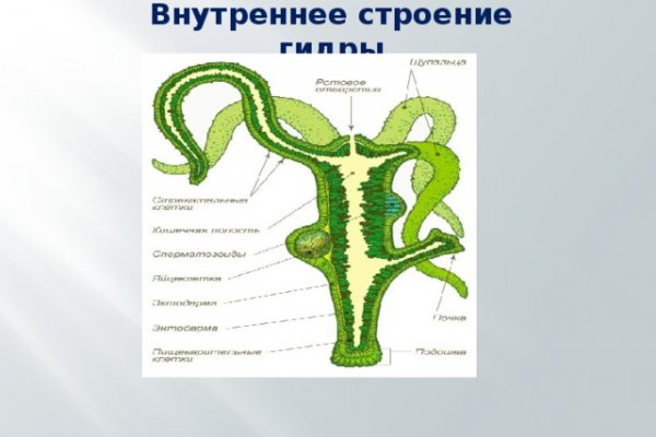 Кто основал блэкспрут