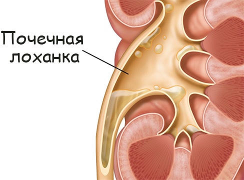 Mega рабочая ссылка